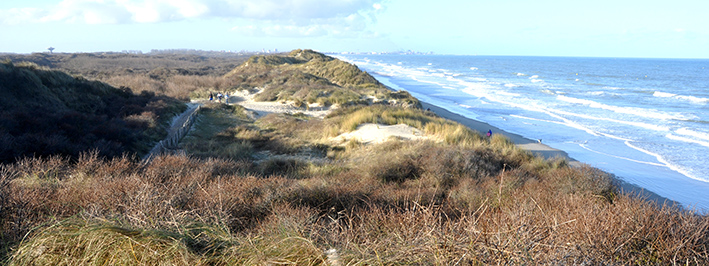 dunes-mer.jpg